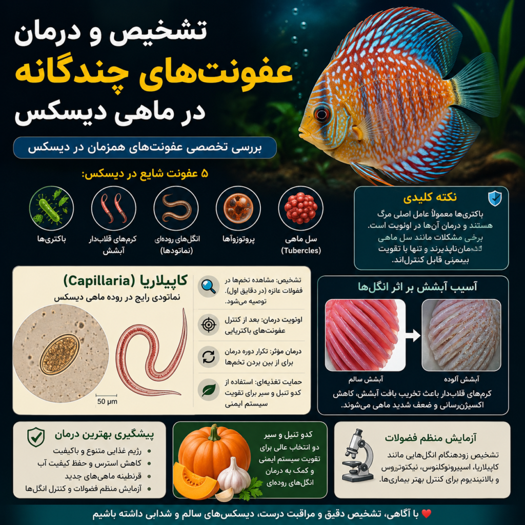 the-medical-mystery-of-the-diseased-discus