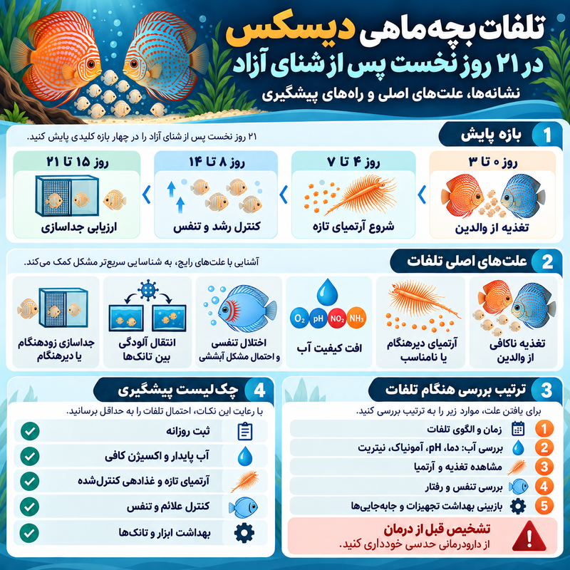 اینفوگرافی مراحل و عوامل تلفات بچه‌ماهی دیسکس در ۲۱ روز نخست، تغذیه، کیفیت آب، تنفس و پیشگیری